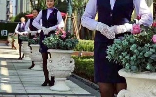 物业公司客服主要做什么