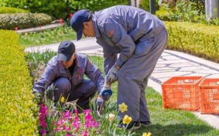 物业服务品质如何有效提升？