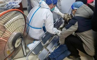 物业人坚守疫情一线晕倒