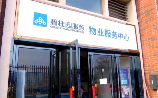 碧桂园属于哪个物业公司？