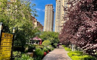 哈尔滨物业最好的小区是哪个？