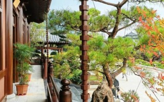 韶关云门寺住宿怎么预订？