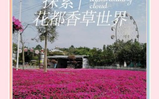 花都香草世界酒店怎么预订最优惠？