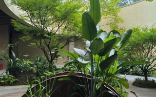 绍兴国际大酒店健身房设施如何？