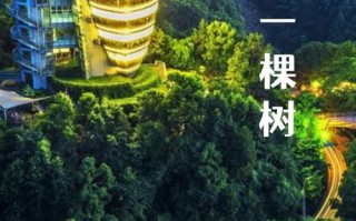 重庆南山一棵树酒店预订怎么选最划算？