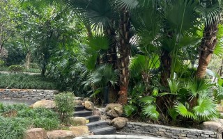 重庆高端温泉酒店预订，为何这些绝美私汤一房难求？