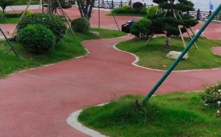 绿地健身游泳馆沿路秀的是什么？