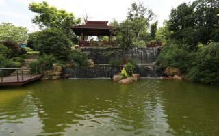 顺安物业管理有限公司怎么样？