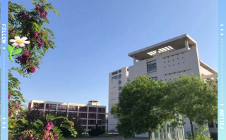 物业管理专科专业就业前景如何？