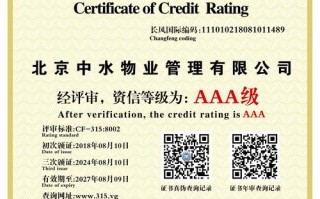 中国一级物业管理公司有何独特优势？