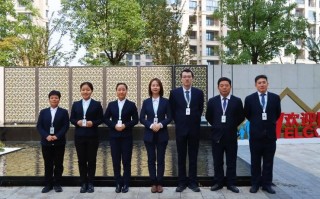 新湖绿城物业与绿城物业是何关系？