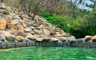 泰安温泉会议酒店怎么预订最优惠？