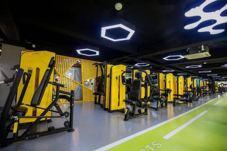 哈尔滨菲特健身俱乐部怎么样？-第3张图片-德高鼎泰便民中心