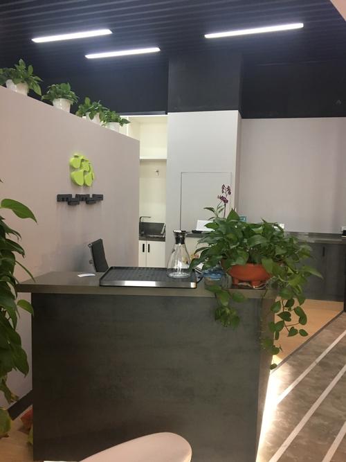 MyMyO德国智能健身,智能在哪?-第3张图片-德高鼎泰便民中心 MyMyO德国智能健身,智能在哪?-第3张图片-德高鼎泰便民中心