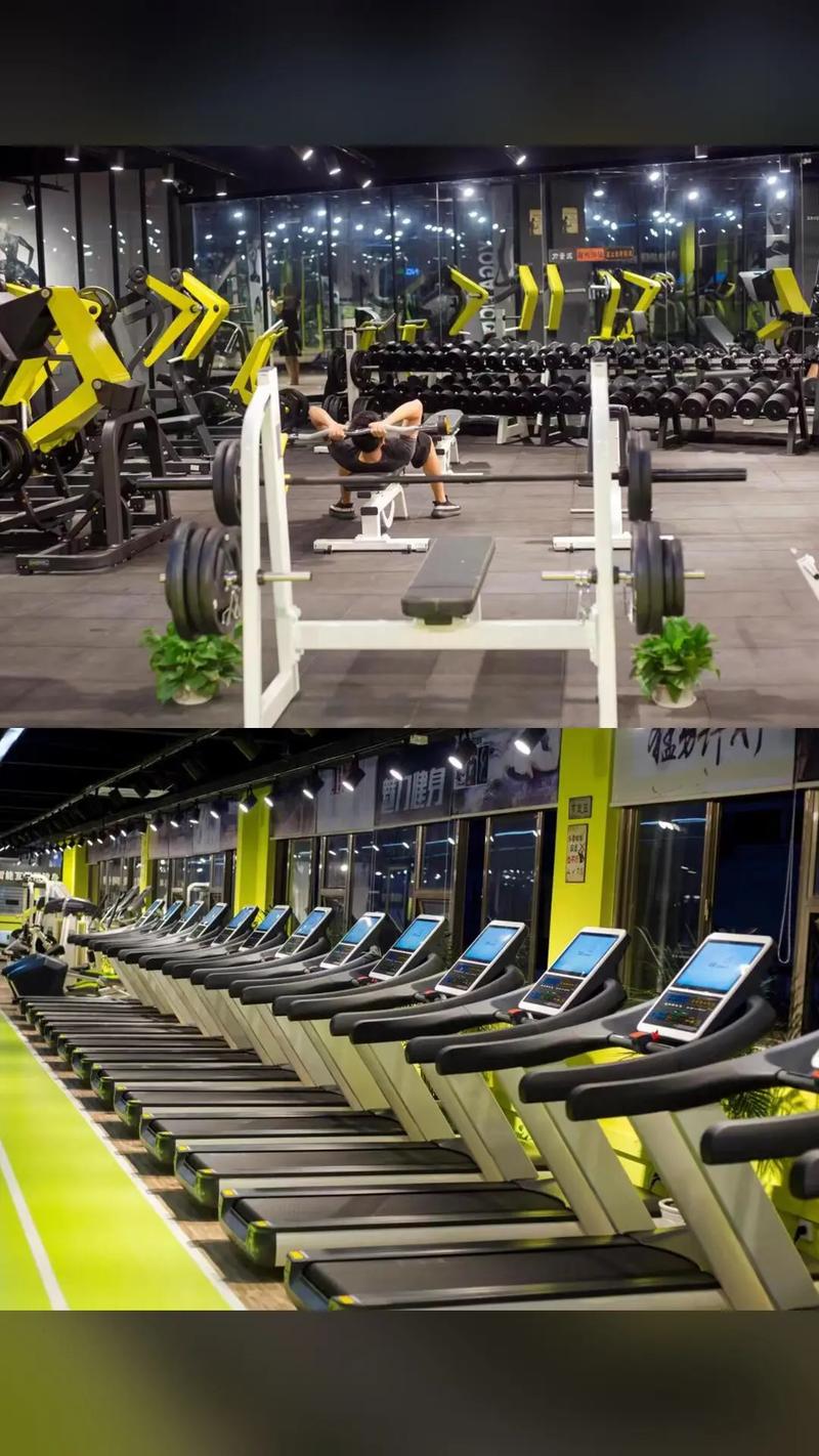 liking健身太原,如何科学健身塑形?-第1张图片-德高鼎泰便民中心 liking健身太原,如何科学健身塑形?-第1张图片-德高鼎泰便民中心