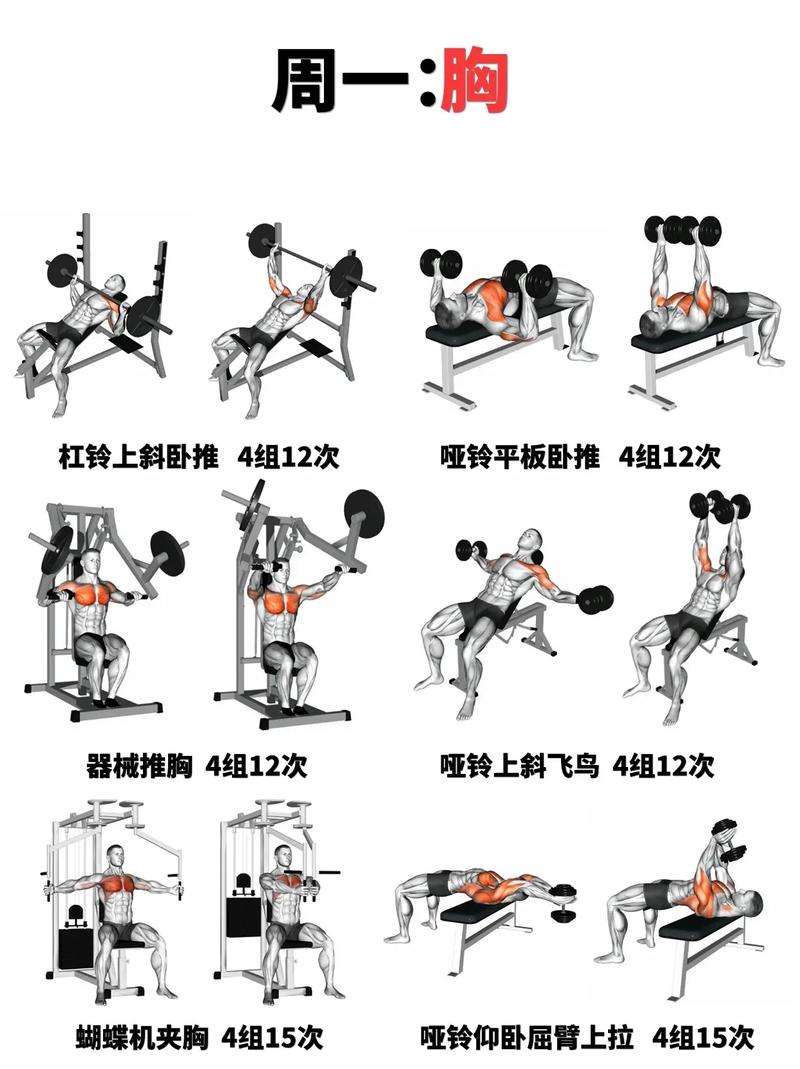 Seven健身如何破解高效增肌难题？-第2张图片-德高鼎泰便民中心