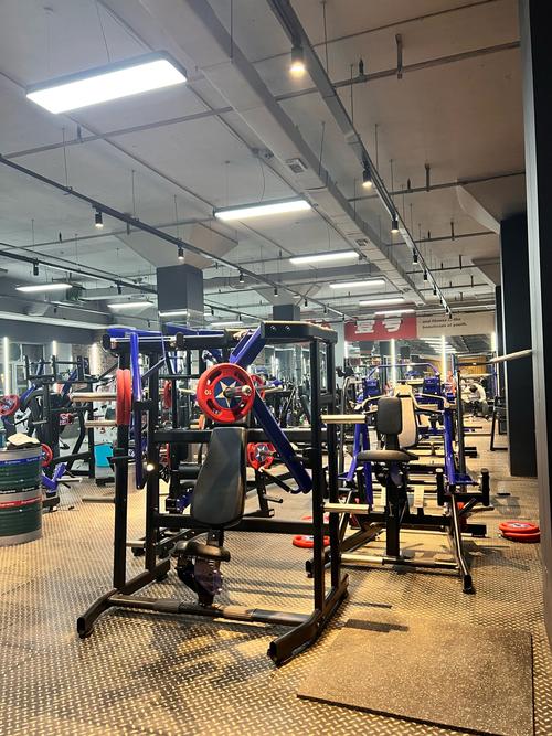 chinarock健身,如何科学高效练出理想身材?-第1张图片-德高鼎泰便民中心 chinarock健身,如何科学高效练出理想身材?-第1张图片-德高鼎泰便民中心