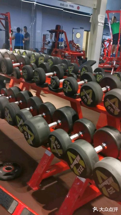 中体倍力健身俱乐部年卡-第3张图片-德高鼎泰便民中心