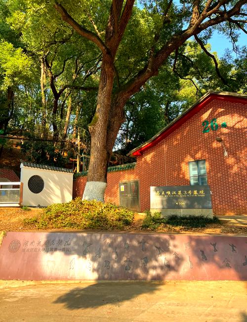 马王堆汉墓附近酒店怎么选？-第1张图片-德高鼎泰便民中心