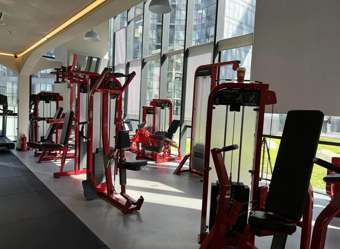 soho 健身 怎么样-第3张图片-德高鼎泰便民中心