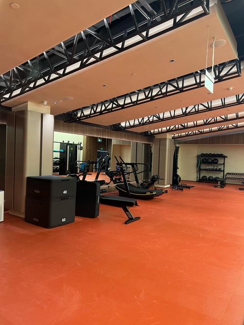 300壮士健身房上海,300壮士指谁?-第2张图片-德高鼎泰便民中心 300壮士健身房上海,300壮士指谁?-第2张图片-德高鼎泰便民中心