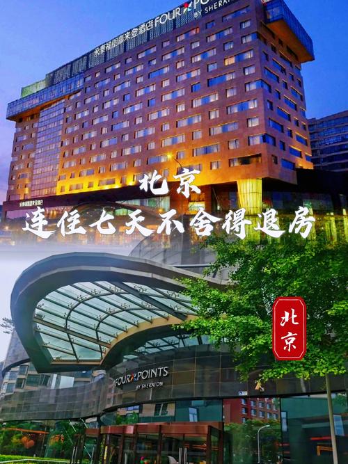 北京朝阳喜来登酒店预订哪里最划算?-第1张图片-德高鼎泰便民中心 北京朝阳喜来登酒店预订哪里最划算?-第1张图片-德高鼎泰便民中心