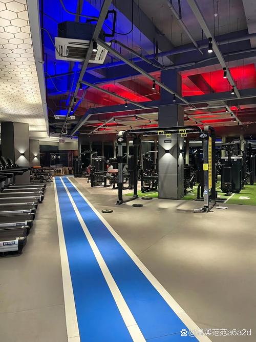 Mr.K健身房,专业健身如何练就理想身材?-第1张图片-德高鼎泰便民中心 Mr.K健身房,专业健身如何练就理想身材?-第1张图片-德高鼎泰便民中心