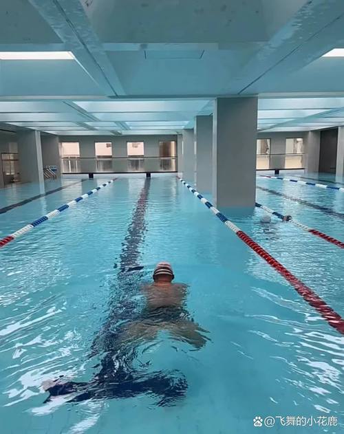 湖州全民健身中心游泳馆-第3张图片-德高鼎泰便民中心 湖州全民健身中心游泳馆-第3张图片-德高鼎泰便民中心