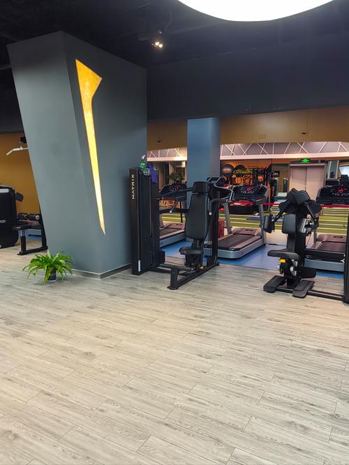 斯巴达健身南宁,课程效果如何?-第3张图片-德高鼎泰便民中心 斯巴达健身南宁,课程效果如何?-第3张图片-德高鼎泰便民中心