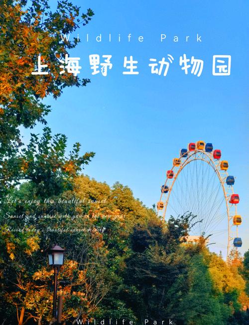 上海野生动物园酒店怎么预订?-第2张图片-德高鼎泰便民中心 上海野生动物园酒店怎么预订?-第2张图片-德高鼎泰便民中心