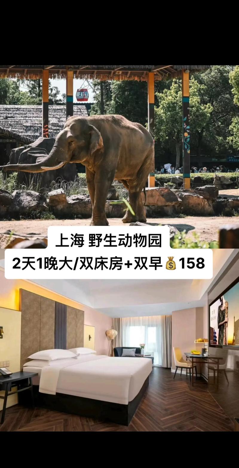 上海野生动物园酒店怎么预订?-第1张图片-德高鼎泰便民中心 上海野生动物园酒店怎么预订?-第1张图片-德高鼎泰便民中心