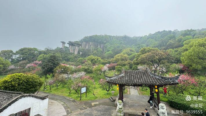 吼山风景区附近酒店怎么选?-第2张图片-德高鼎泰便民中心 吼山风景区附近酒店怎么选?-第2张图片-德高鼎泰便民中心