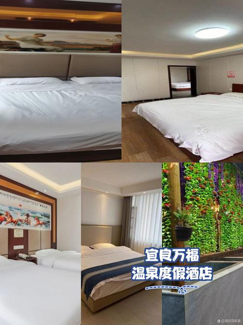 军山风景区附近酒店怎么选？-第2张图片-德高鼎泰便民中心