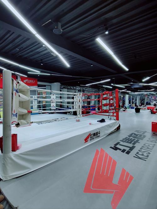 哈尔滨搏击健身俱乐部，效果如何？-第1张图片-德高鼎泰便民中心