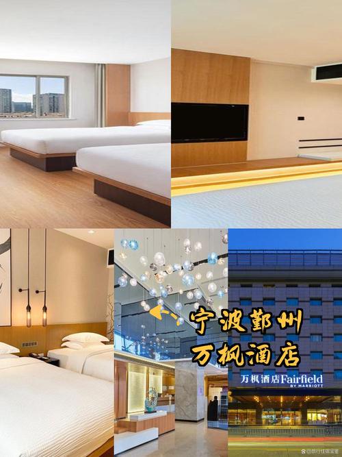 大宁体育馆附近酒店哪家性价比高？-第2张图片-德高鼎泰便民中心