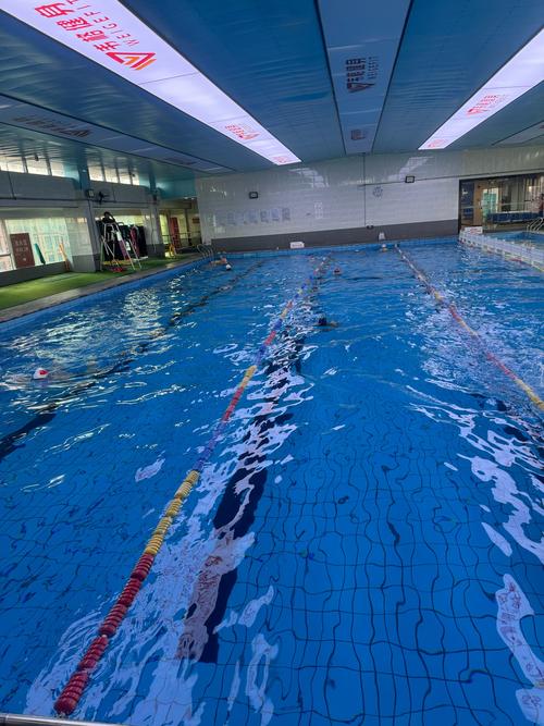 中山健身会所游泳,价格与服务如何?-第3张图片-德高鼎泰便民中心 中山健身会所游泳,价格与服务如何?-第3张图片-德高鼎泰便民中心