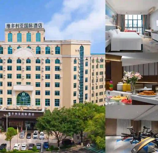 茂名电视台附近酒店预订怎么选?-第1张图片-德高鼎泰便民中心 茂名电视台附近酒店预订怎么选?-第1张图片-德高鼎泰便民中心