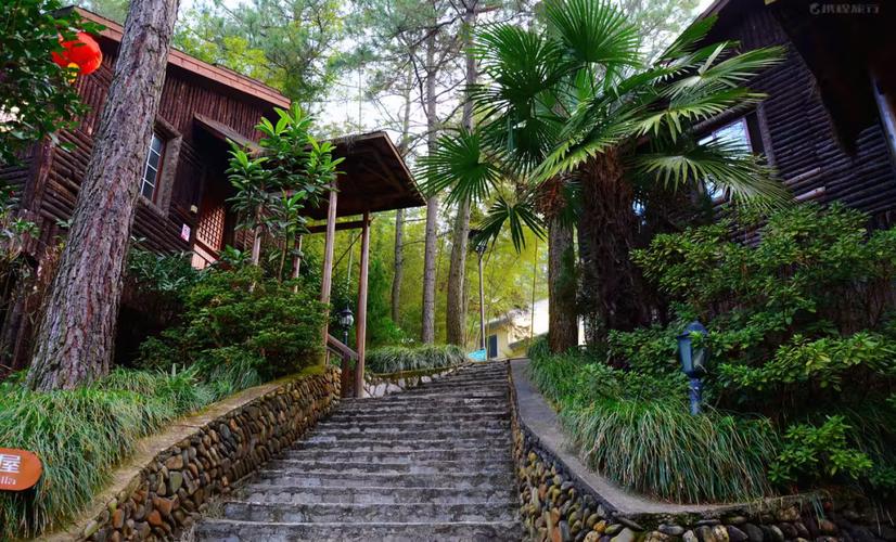 恩龙世界木屋村酒店预订怎么选最划算？-第2张图片-德高鼎泰便民中心