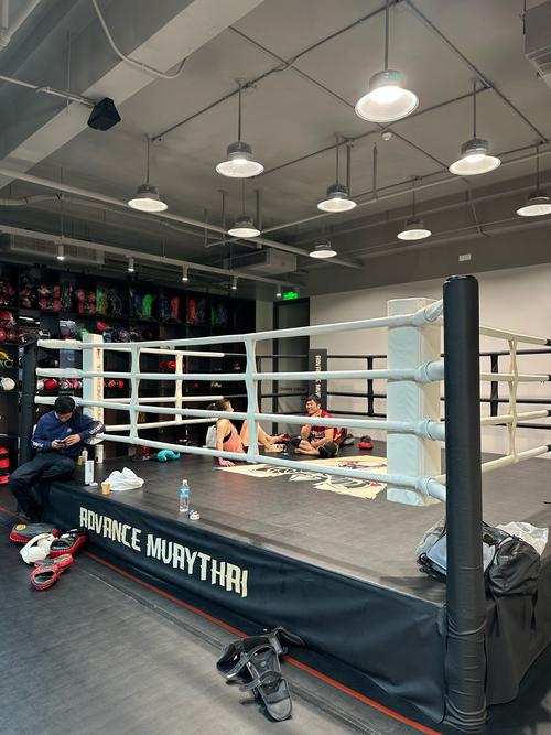 alfa 格斗健身馆-第3张图片-德高鼎泰便民中心