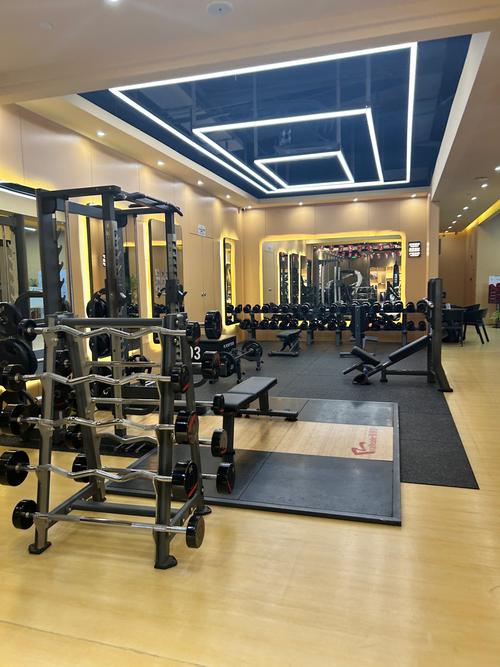 潍坊健身俱乐部 排名-第3张图片-德高鼎泰便民中心 潍坊健身俱乐部 排名-第3张图片-德高鼎泰便民中心