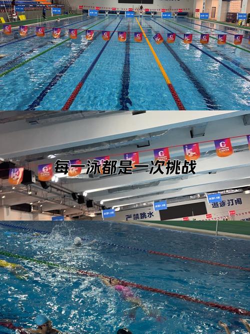 naga游泳健身电话-第3张图片-德高鼎泰便民中心 naga游泳健身电话-第3张图片-德高鼎泰便民中心