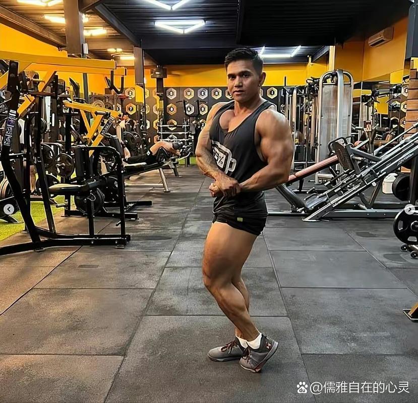 All-Star健身，如何练出明星效果？-第2张图片-德高鼎泰便民中心