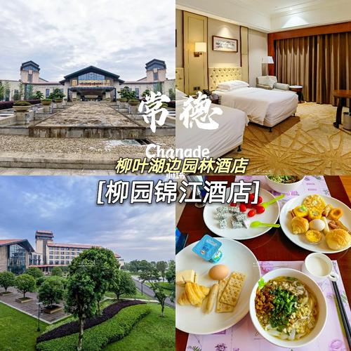 常德柳叶湖附近酒店怎么选？-第2张图片-德高鼎泰便民中心