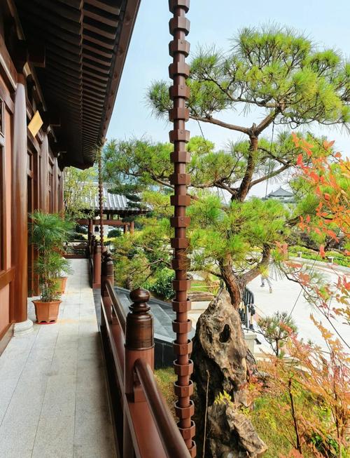 韶关云门寺住宿怎么预订?-第1张图片-德高鼎泰便民中心 韶关云门寺住宿怎么预订?-第1张图片-德高鼎泰便民中心