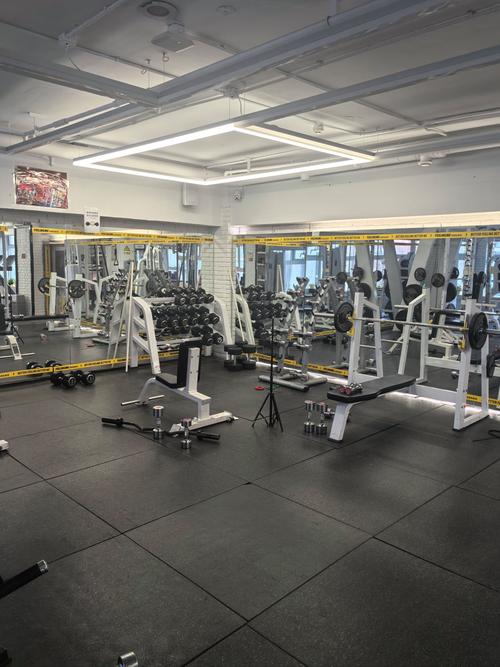 沈阳全民健身,健身房如何助力市民健康?-第1张图片-德高鼎泰便民中心 沈阳全民健身,健身房如何助力市民健康?-第1张图片-德高鼎泰便民中心