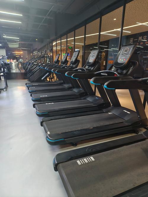 合肥健身房月卡一般多少钱?-第3张图片-德高鼎泰便民中心 合肥健身房月卡一般多少钱?-第3张图片-德高鼎泰便民中心