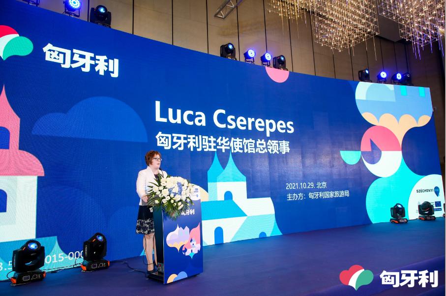 匈牙利上海使馆酒店如何预订？-第3张图片-德高鼎泰便民中心