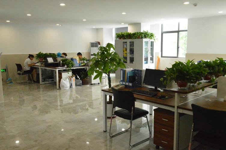 物业物业管理有限公司是做什么的?-第2张图片-德高鼎泰便民中心 物业物业管理有限公司是做什么的?-第2张图片-德高鼎泰便民中心