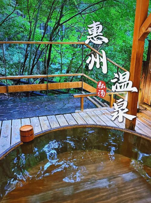 惠州玫瑰温泉酒店怎么预订最划算?-第2张图片-德高鼎泰便民中心 惠州玫瑰温泉酒店怎么预订最划算?-第2张图片-德高鼎泰便民中心