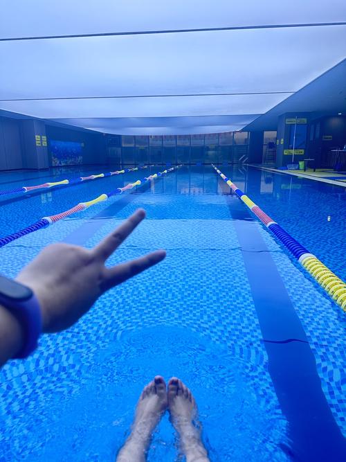 新乡游泳馆健身房哪家强?-第1张图片-德高鼎泰便民中心 新乡游泳馆健身房哪家强?-第1张图片-德高鼎泰便民中心